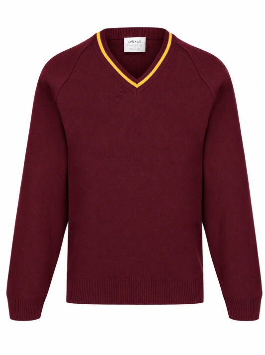 Ysgol Dyffryn Conwy V Neck Jumpers