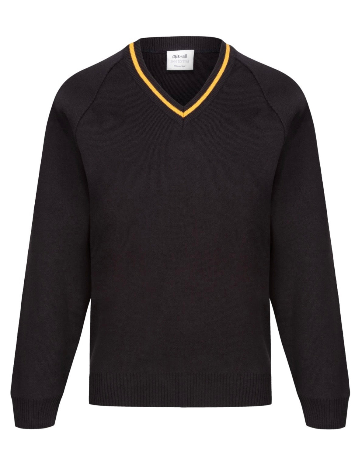 Ysgol Dyffryn Conwy V Neck Jumpers