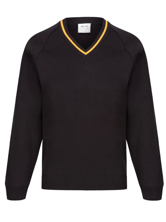 Ysgol Dyffryn Conwy V Neck Jumpers